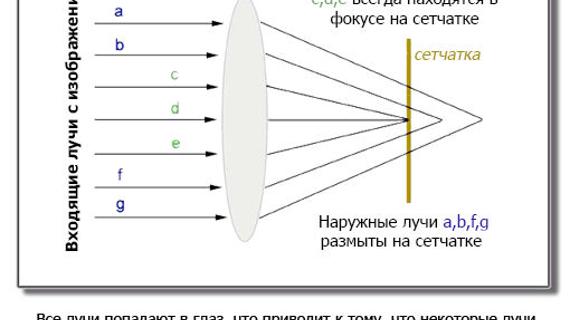 Превью картинка статьи Очки-тренажеры для глаз: отзывы врачей, инструкция по применению для улучшения зрения