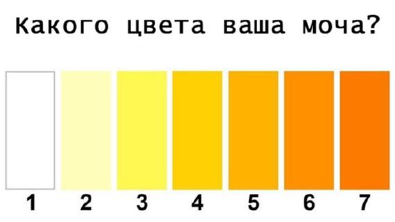 Превью картинка статьи Могут ли помидоры окрашивать мочу