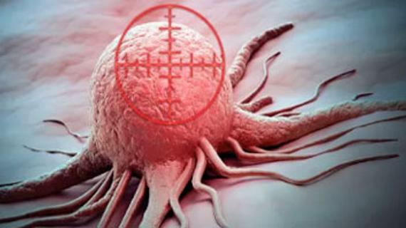 Превью картинка статьи Паслен черный при онкологии