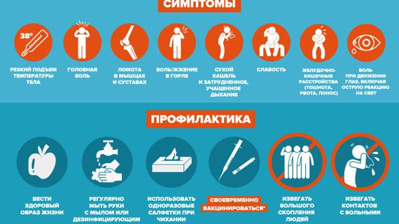 Превью картинка статьи Отчет о мероприятиях по профилактике гриппа в доу