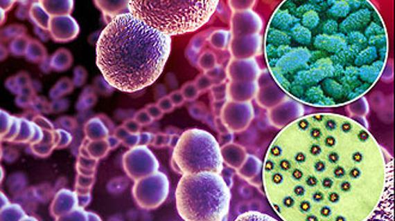 Превью картинка статьи Частая ангина у взрослых - причины постоянного тонзилита и что делать 2021