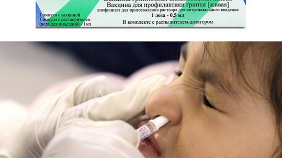 Превью картинка статьи Вакцины от гриппа 2020: какая вакцина от гриппа лучше, какую делать