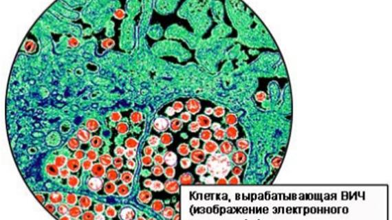 Превью картинка статьи Можно ли заразиться вич через фалоиметаторами