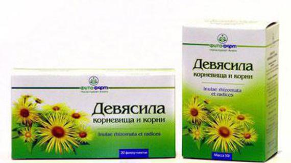 Превью картинка статьи Девясил: инструкция по применению от кашля и бронхита