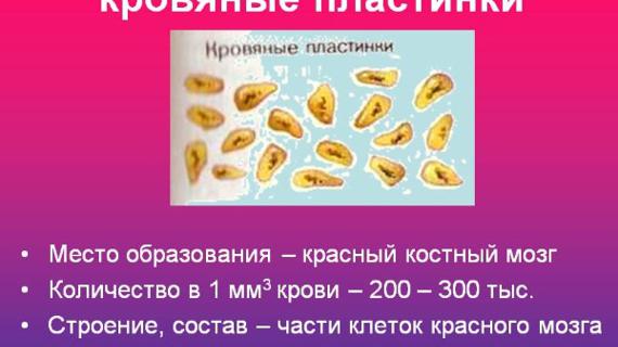 Превью картинка статьи Pst в анализе крови норма