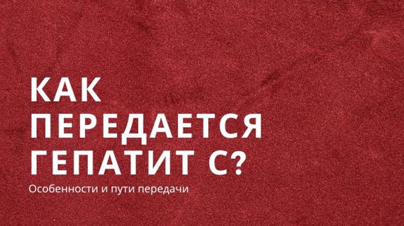 Превью картинка статьи Передается ли гепатит с от человека к животному