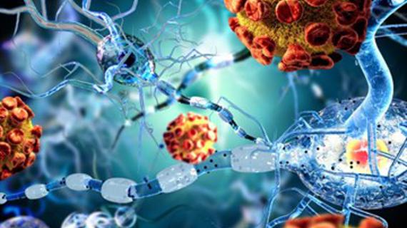 Превью картинка статьи Вакцина против менингококковой инфекции ас инструкция