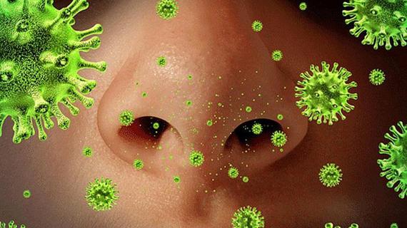 Превью картинка статьи Streptococcus pneumoniae в носу и горле у ребёнка: причины, лечение
