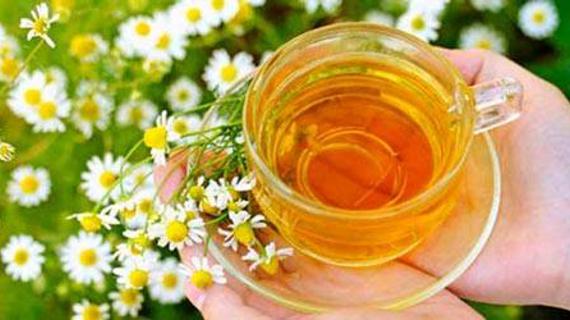 Превью картинка статьи Бессмертник как заваривать и пить — Все о печени