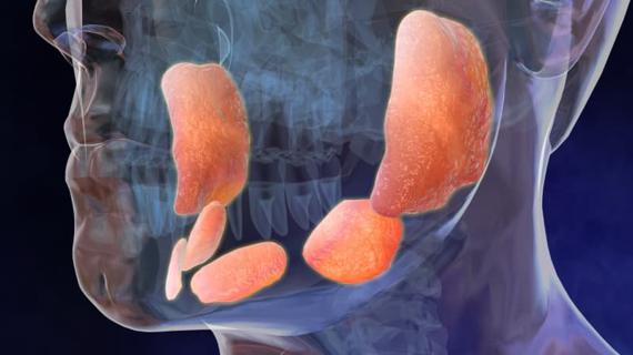 Превью картинка статьи Воспаление под языком: фото, причины, что это может быть