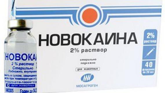 Превью картинка статьи Лечение грибка ногтей на ногах Новокаином: как правильно проводить процедуру