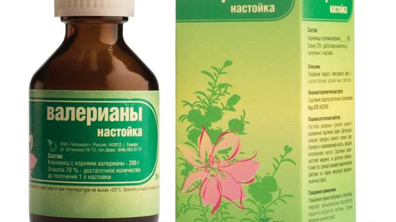 Превью картинка статьи Валерьянка повышает или понижает давление: можно ли валерьянку при гипертонии