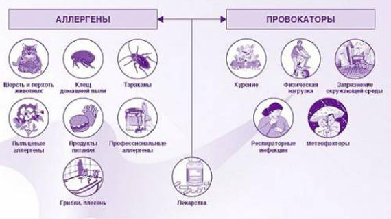 Превью картинка статьи Таблетки от аллергии на коже и другие хорошие средства