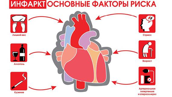Превью картинка статьи Инфаркт передней стенки левого желудочка: признаки, последствия и прогноз