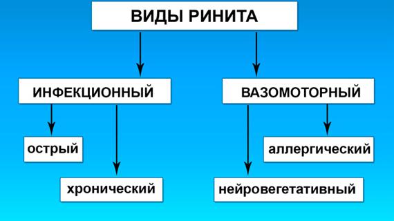 Превью картинка статьи Сколько дней длится насморк у взрослого - через сколько проходит 2021