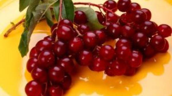 Превью картинка статьи Можно ли есть черемуху при грудном вскармливании