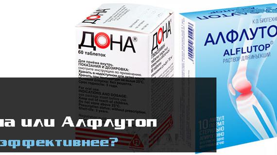 Превью картинка статьи 7 отличий