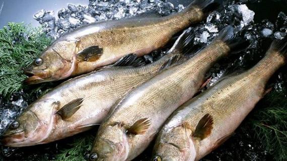 Превью картинка статьи Какие есть витамины в икре минтая