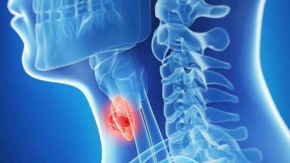Превью картинка статьи Что такое анализ крови тт2