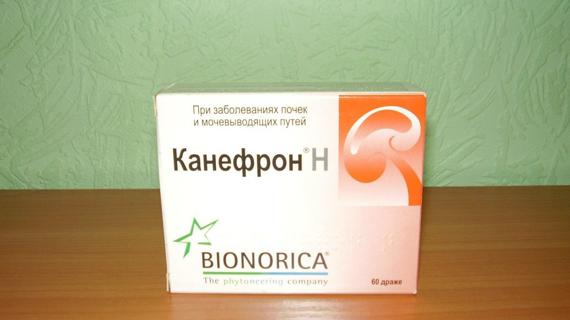 Превью картинка статьи Канефрон при простатите: отзывы врачей и мужчин, инструкция по применению