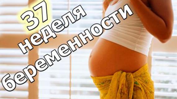 Превью картинка статьи 37 недель беременности каменеет живот и тяжело дышать