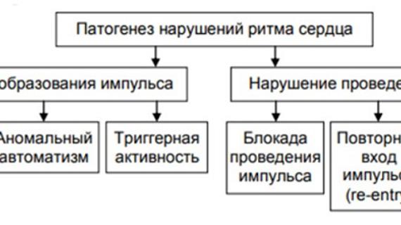 Превью картинка статьи Аритмия – причины, симптомы и лечение нарушений сердечного ритма