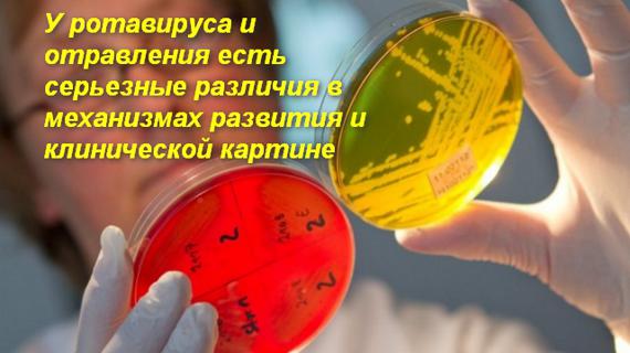 Превью картинка статьи Белок в моче после ротавируса