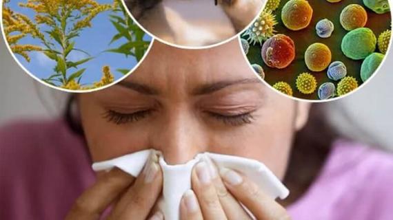 Превью картинка статьи Что помогает от аллергии в домашних условиях — Аллергия