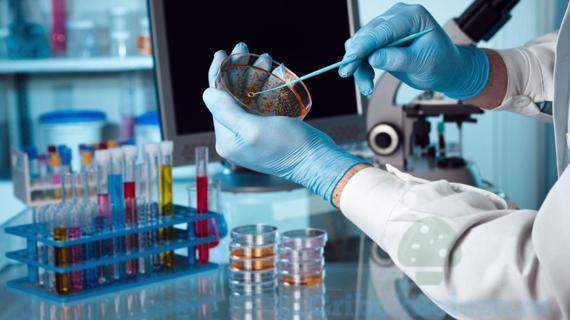 Превью картинка статьи Как правильно сдать ногти на анализ грибка