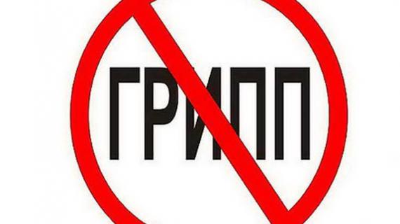 Превью картинка статьи Информация родителям о гриппе: стенд профилактики ОРВИ в детском саду (ДОУ) и для детей школьного возраста в родительском уголке