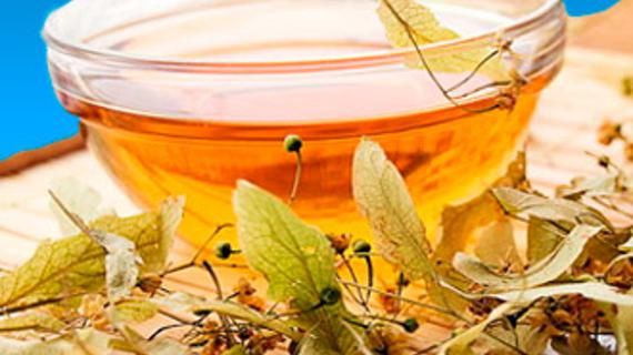 Превью картинка статьи Растения при гипертонии, травы для снижения артериального давления и состав сборов