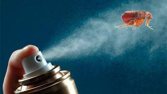 Превью картинка статьи Отравление дихлофосом: симптомы и лечение