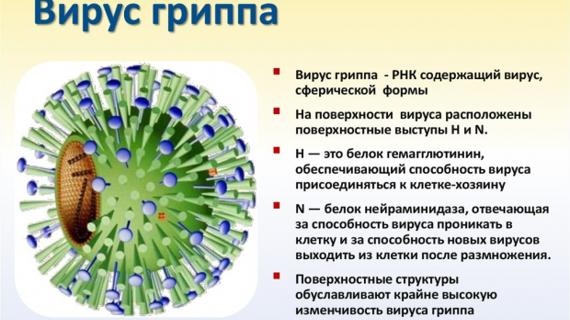Превью картинка статьи Грипп 2019-2020 у детей: осложнения, симптомы, лечение