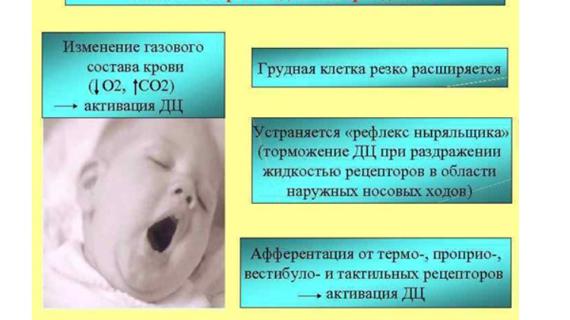 Превью картинка статьи Открытое овальное окно у ребенка или взрослого: когда и как действовать